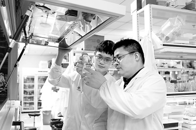 江南大学食品合成生物学与生物制造团队：以“细胞工厂”探寻食品未来