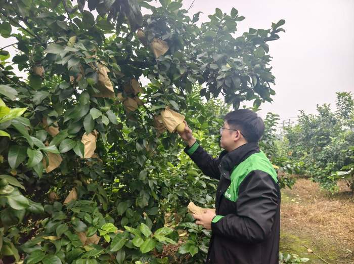 文章详情图片