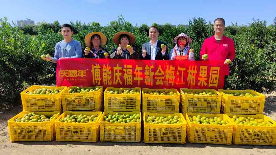 文章详情图片