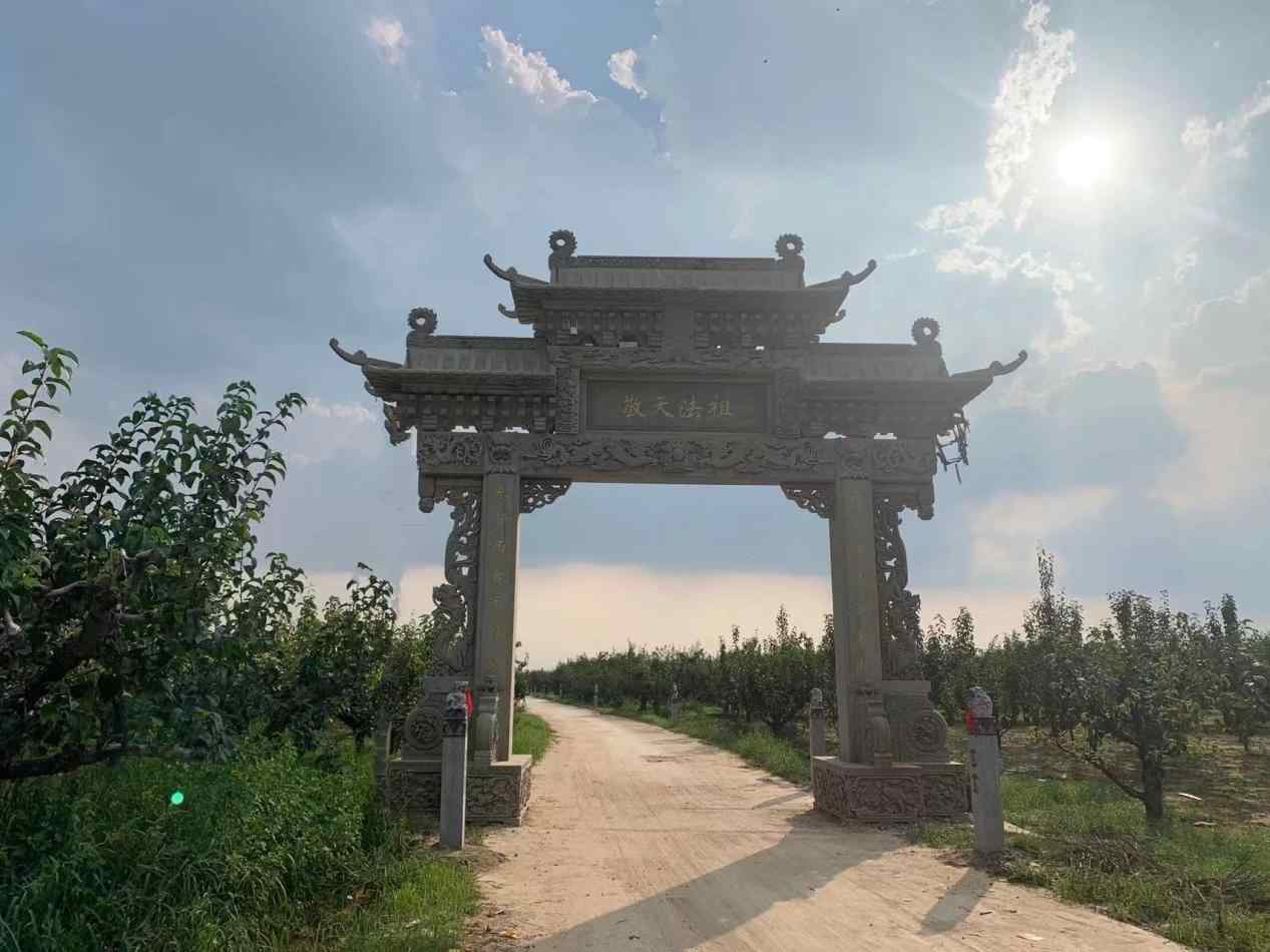 文章详情图片