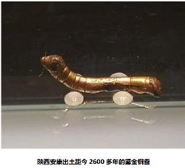 文章详情图片