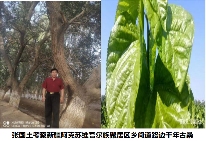 文章详情图片