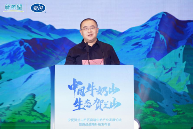 文章详情图片