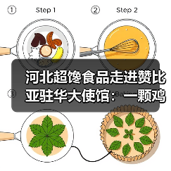 河北超馋食品走进赞比亚驻华大使馆:一颗鸡蛋里的中非农业合作新篇章(图4) 河北超馋食品走进赞比亚驻华大使馆:一颗鸡蛋里的中非农业合作新篇章(图4)