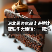 河北超馋食品走进赞比亚驻华大使馆:一颗鸡蛋里的中非农业合作新篇章(图2) 河北超馋食品走进赞比亚驻华大使馆:一颗鸡蛋里的中非农业合作新篇章(图2)