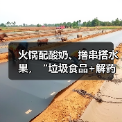 火锅配酸奶、撸串搭水果,“垃圾食品+解药”搭配吃有益健康吗?(图4) 火锅配酸奶、撸串搭水果,“垃圾食品+解药”搭配吃有益健康吗?(图4)
