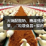 火锅配酸奶、撸串搭水果,“垃圾食品+解药”搭配吃有益健康吗?(图1) 火锅配酸奶、撸串搭水果,“垃圾食品+解药”搭配吃有益健康吗?(图1)