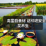 高蛋白食材 这样吃安全又养生(图3) 高蛋白食材 这样吃安全又养生(图3)