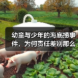 幼童与少年的海底捞事件，为何责任差别那么大？（图2）