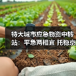 特大城市应急物资中转站:平急两相宜 托稳京津冀“菜篮子”(图3) 特大城市应急物资中转站:平急两相宜 托稳京津冀“菜篮子”(图3)