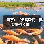 南京:“免罚轻罚”典型案例公布!(图3) 南京:“免罚轻罚”典型案例公布!(图3)