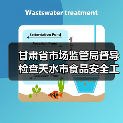 甘肃省市场监管局督导检查天水市食品安全工作（图4）