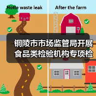 铜陵市市场监管局开展食品类检验机构专项检查（图1）