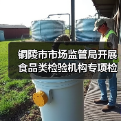 铜陵市市场监管局开展食品类检验机构专项检查（图4）