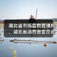 湖北省市场监督管理局、湖北省消费者委员会联合发布“618”网络集中促销合规提示（图3）