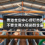 香港食安中心呼吁市民不要食用大肠菌群含量超出法例上限的雪糕（图2）