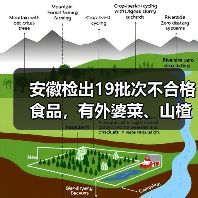 安徽检出19批次不合格食品，有外婆菜、山楂干、砂糖橘等（图3）
