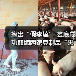 揪出“假李逵” 娄底成功取缔两家豆制品“黑作坊”（图3）