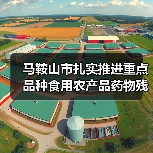马鞍山市扎实推进重点品种食用农产品药物残留突出问题攻坚治理（图1）