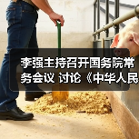 李强主持召开国务院常务会议 讨论《中华人民共和国食品安全法(修正草案)》(图1) 李强主持召开国务院常务会议 讨论《中华人民共和国食品安全法(修正草案)》(图1)