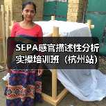 SEPA感官描述性分析实操培训班（杭州站）圆满结束（图1）