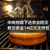 中央财政下达农业防灾救灾资金14亿元支持各地病虫害防控（图2）