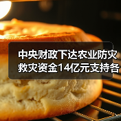 中央财政下达农业防灾救灾资金14亿元支持各地病虫害防控（图4）