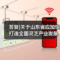答复|关于山东省应加快打造全国灵芝产业发展高地的建议(图4) 答复|关于山东省应加快打造全国灵芝产业发展高地的建议(图4)