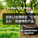 安庆以地理标志“红色名片”传递特色产业“蓝色美味”（图1）