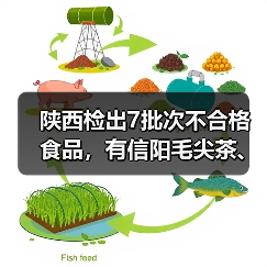 陕西检出7批次不合格食品,有信阳毛尖茶、红糖、瓜子等(图1) 陕西检出7批次不合格食品,有信阳毛尖茶、红糖、瓜子等(图1)