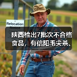 陕西检出7批次不合格食品,有信阳毛尖茶、红糖、瓜子等(图3) 陕西检出7批次不合格食品,有信阳毛尖茶、红糖、瓜子等(图3)