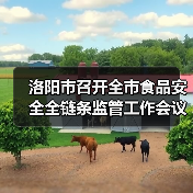 洛阳市召开全市食品安全全链条监管工作会议（图3）