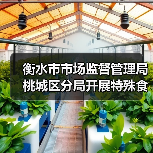 衡水市市场监督管理局桃城区分局开展特殊食品专项检查(图2) 衡水市市场监督管理局桃城区分局开展特殊食品专项检查(图2)