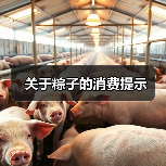 关于粽子的消费提示（图1）