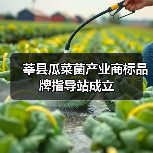 莘县瓜菜菌产业商标品牌指导站成立（图4）