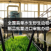 全国首单水生野生动物制品批量进口审批办结（图4）