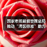 国家市场监督管理总局推动“湾区标准”助力粤港澳大湾区“软联通”新闻发布会实录
