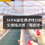 SEPA感官描述性分析实操培训班（高级班·第六期）在杭开班
