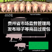 贵州省市场监督管理局发布粽子等商品过度包装典型案例（图1）