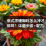 意式浓缩咖啡怎么冲才够味?详细步骤+配方大公开!☕(图3) 意式浓缩咖啡怎么冲才够味?详细步骤+配方大公开!☕(图3)
