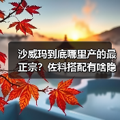 沙威玛到底哪里产的最正宗?佐料搭配有啥隐藏吃法?(图4) 沙威玛到底哪里产的最正宗?佐料搭配有啥隐藏吃法?(图4)