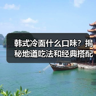 韩式冷面什么口味?揭秘地道吃法和经典搭配!(图1) 韩式冷面什么口味?揭秘地道吃法和经典搭配!(图1)