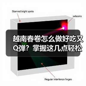 越南春卷怎么做好吃又Q弹?掌握这几点轻松复刻地道风味!(图2) 越南春卷怎么做好吃又Q弹?掌握这几点轻松复刻地道风味!(图2)