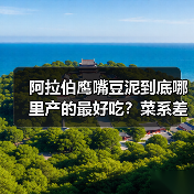 阿拉伯鹰嘴豆泥到底哪里产的最好吃?菜系差异大揭秘!✨(图3) 阿拉伯鹰嘴豆泥到底哪里产的最好吃?菜系差异大揭秘!✨(图3)