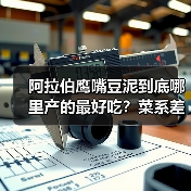 阿拉伯鹰嘴豆泥到底哪里产的最好吃?菜系差异大揭秘!✨(图2) 阿拉伯鹰嘴豆泥到底哪里产的最好吃?菜系差异大揭秘!✨(图2)