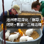 池州市局深化“指导+闭环+智慧”三维治理模式 提升中小学食品安全治理能效（图4）