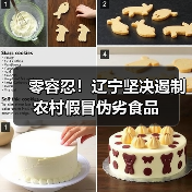 零容忍！辽宁坚决遏制农村假冒伪劣食品（图3）
