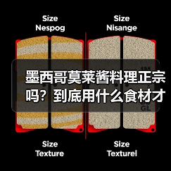 墨西哥莫莱酱料理正宗吗？到底用什么食材才地道？（图2）