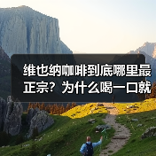 维也纳咖啡到底哪里最正宗?为什么喝一口就上头!☕️(图2) 维也纳咖啡到底哪里最正宗?为什么喝一口就上头!☕️(图2)
