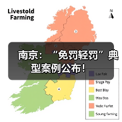 南京：“免罚轻罚”典型案例公布！